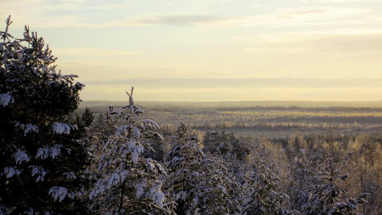Hotel Julie Joensuu Eksteriør bilde